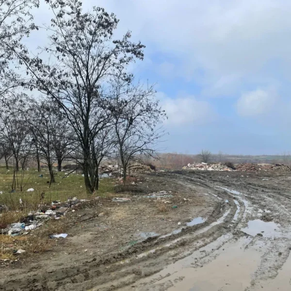 ghioroc moloz 3