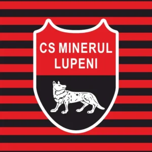 5.minerul lupeni