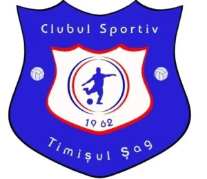 9.timisul sag