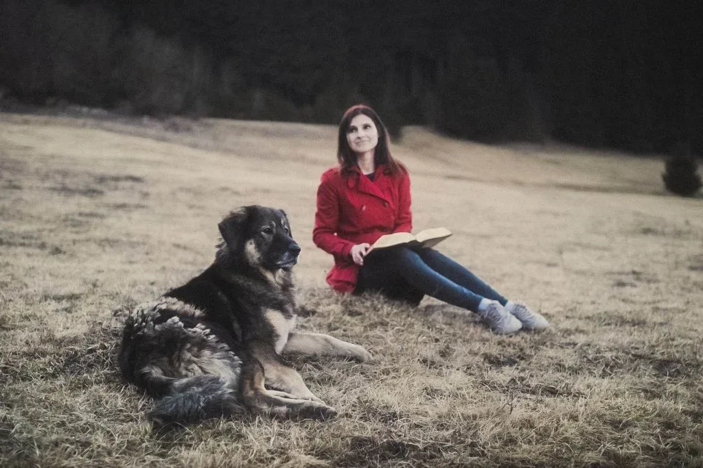 sabina cristea