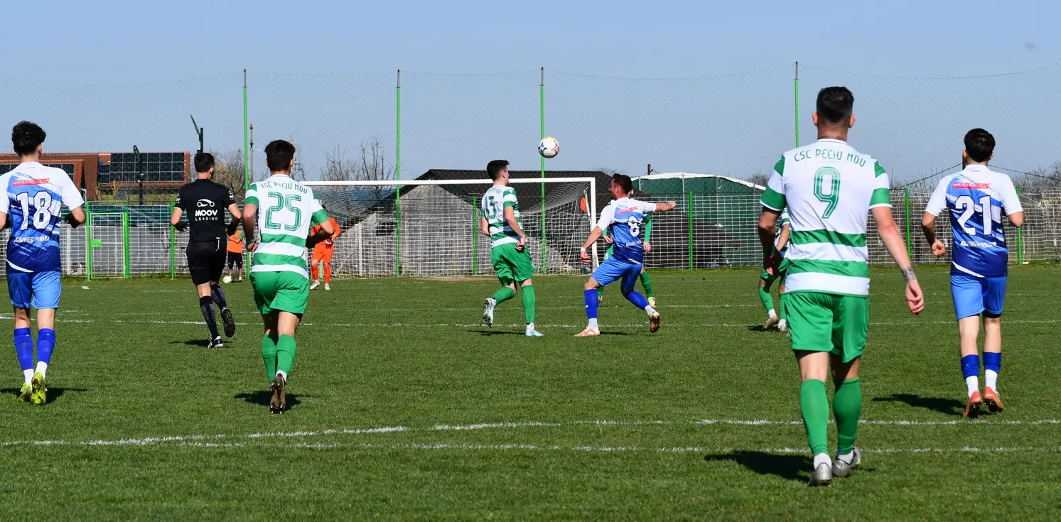 3.peciu nou periam