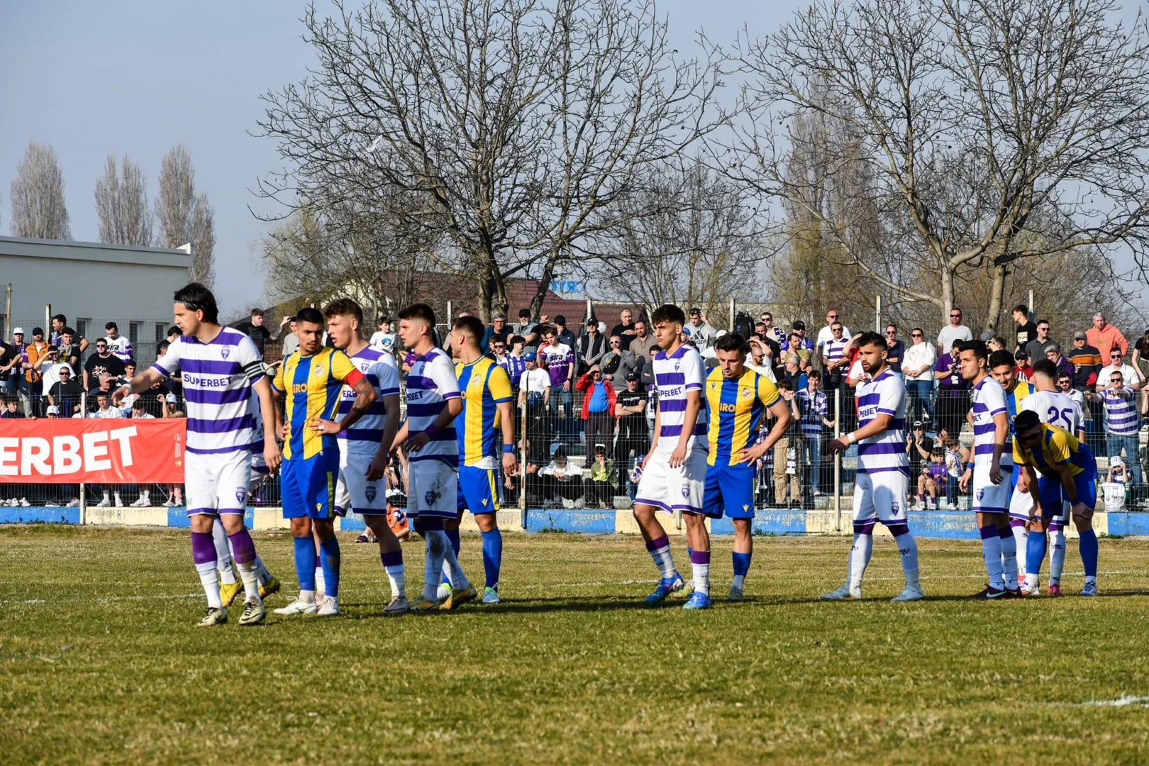 6.poli tm ghiroda
