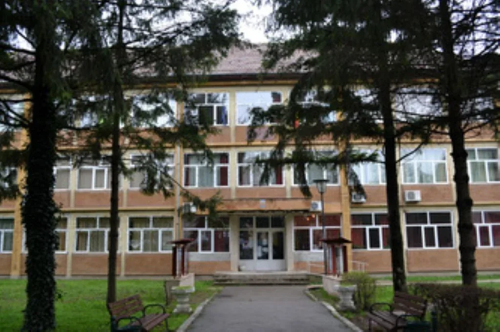 colegiul mihai viteazul ineu