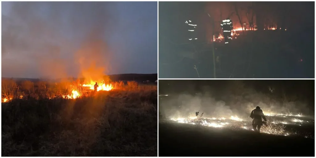 incendii arad