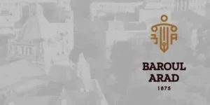 baroul arad 1