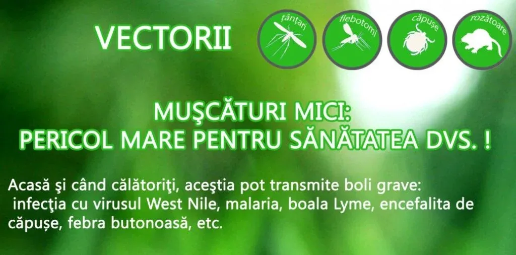 bolile transmise prin vectori