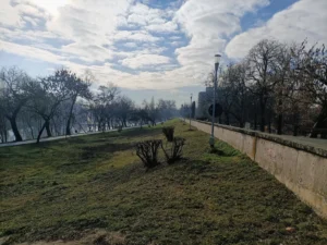 foto faleza mures arad 01