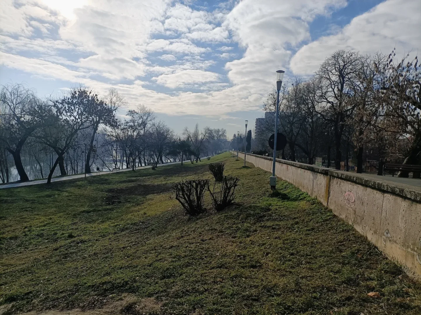 foto faleza mures arad 01