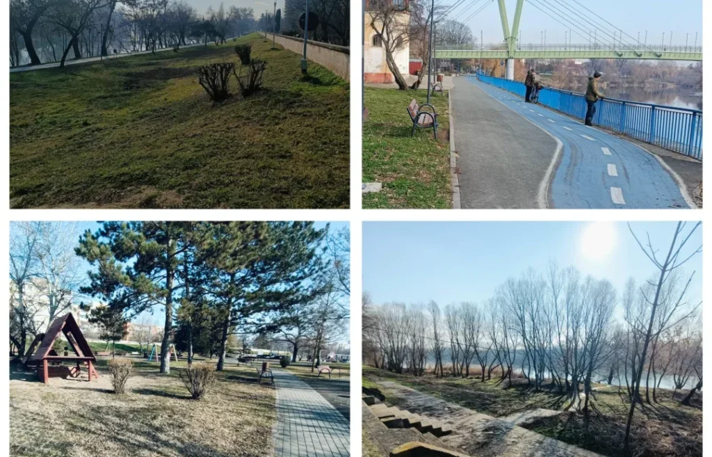 faleza mures