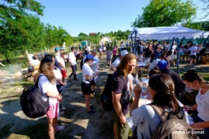 start inscrieri gradinari 3