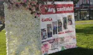 targ caritabil carla 2025 pr