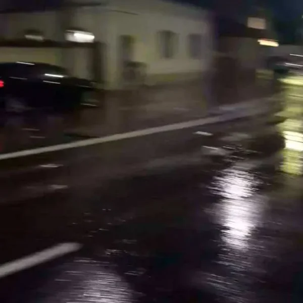 inundatii arad