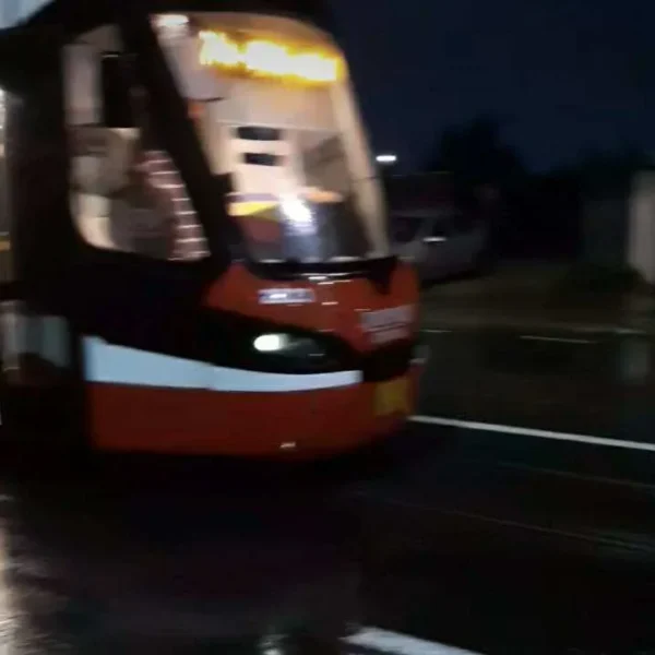 inundatii arad1