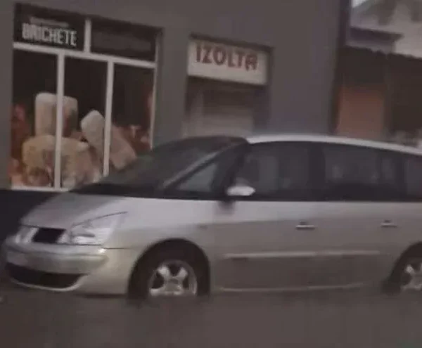 inundatii arad2