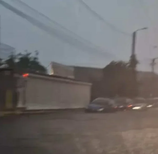 inundatii arad5