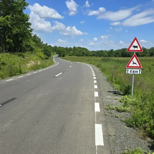 lipova sistarovat 6