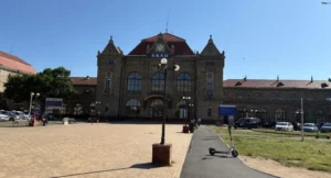bărbat din sântana