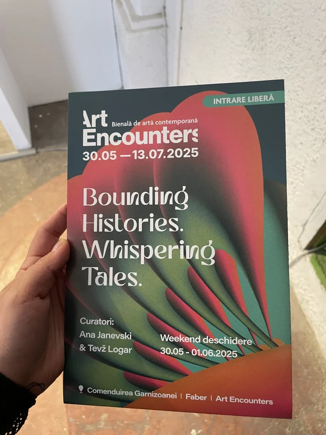 bienala art encounters
