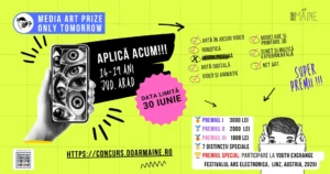 media art prize