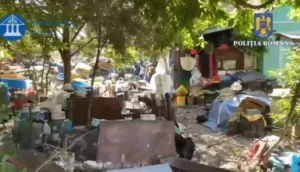 deseuri mandruloc perchezitii 5 iunie 2025