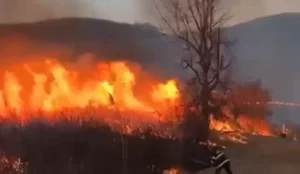 incendiu vegetatie