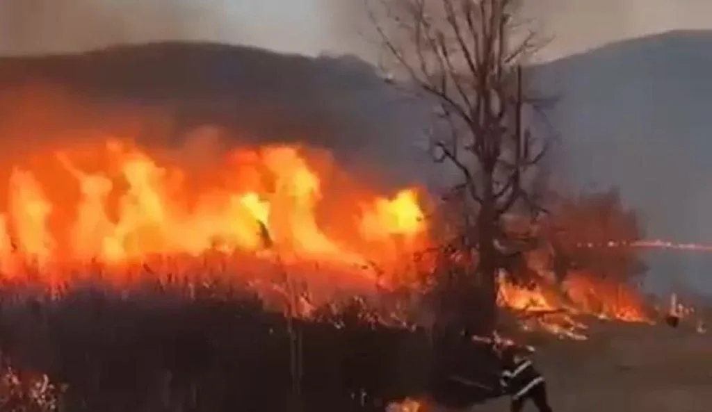 incendiu vegetatie