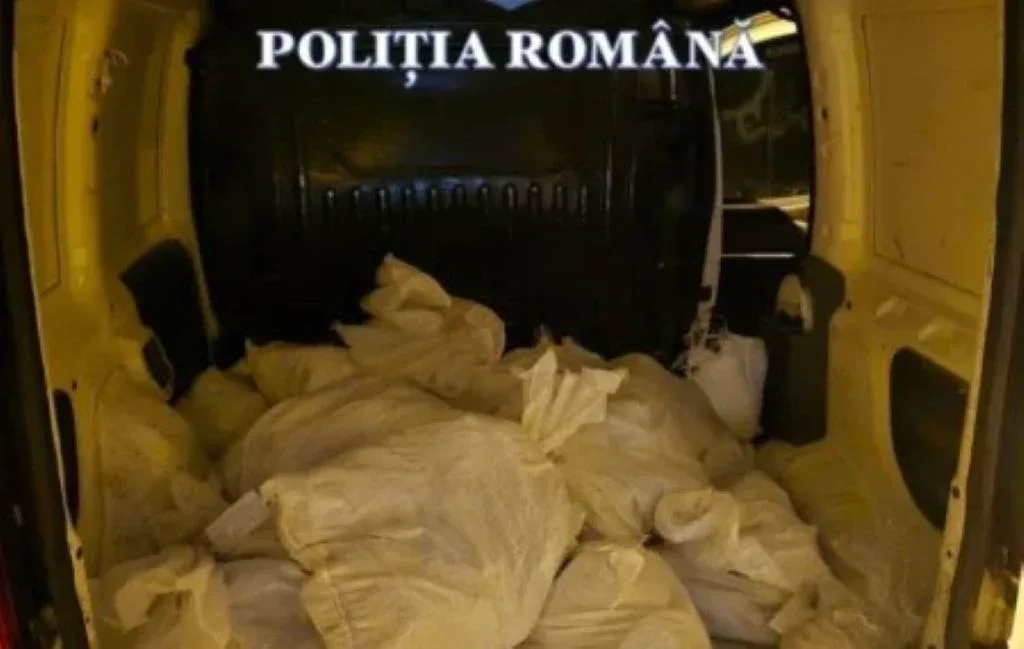 saci bani timisoara