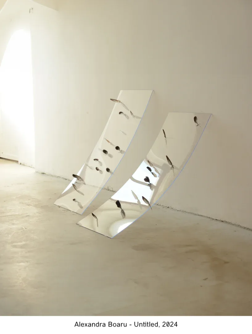 alexandra boaru untitled 2024