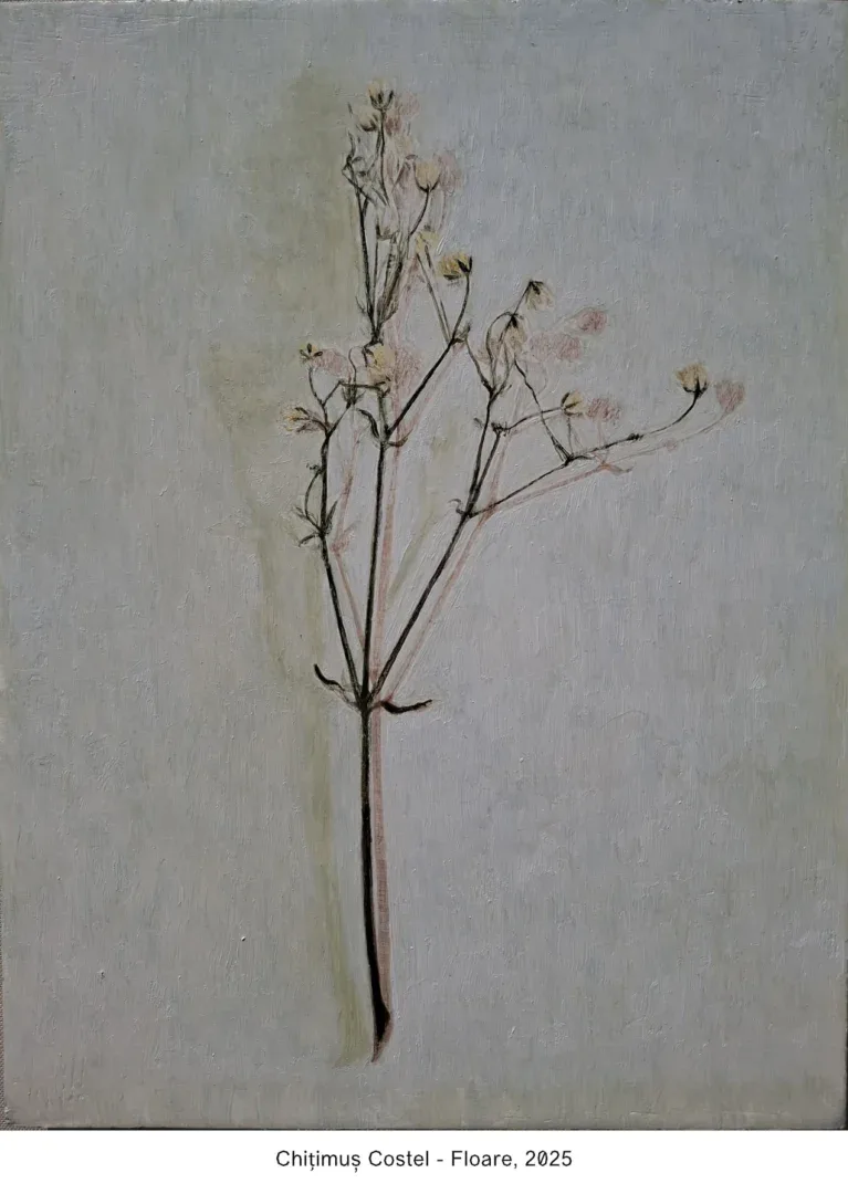 chitimus costel floare