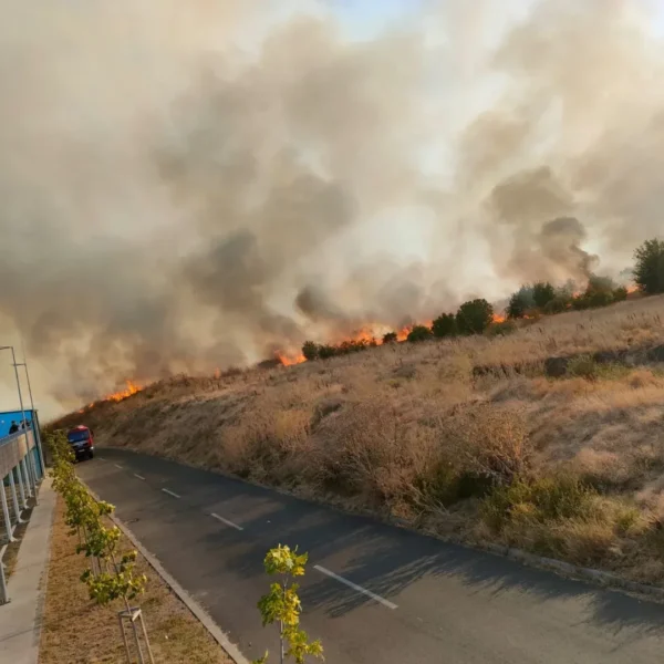 incendiu marului 5