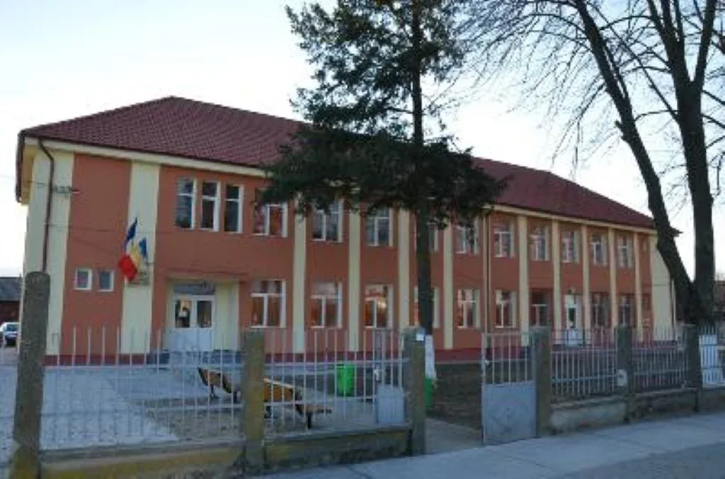 judecatoria chisineu cris