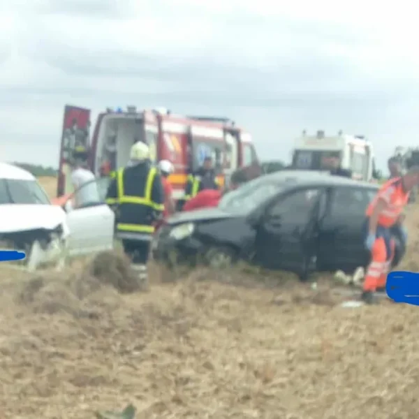 accident pecica semlac2 1