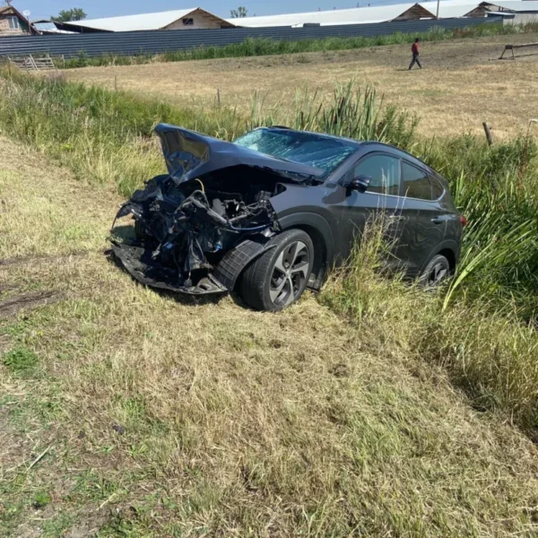 Accident cumplit lângă turnu | două persoane au decedat și alte patru au fost transportate la spital 3 accident turnu arad1