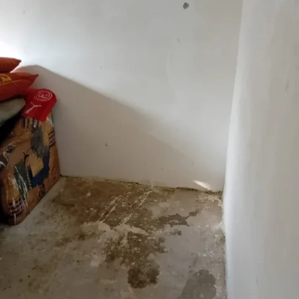apartament igienizat