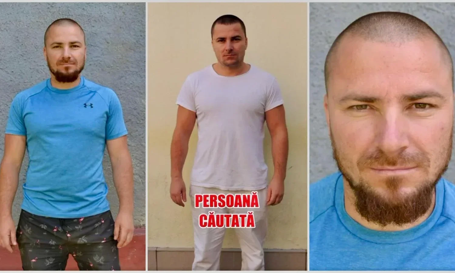 tânără din bistrița