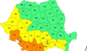 cod galben de caniculă