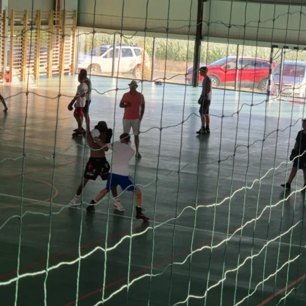 felnac 1 1