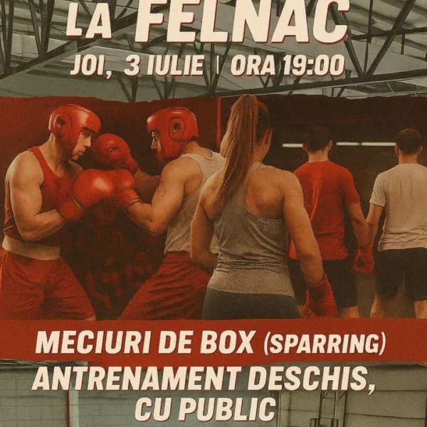felnac 1