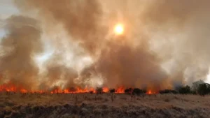 incendiu alfa marului