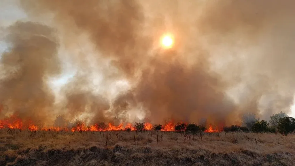 incendiu alfa marului