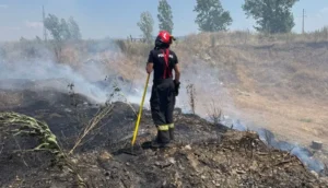 incendiu vegetatie 1