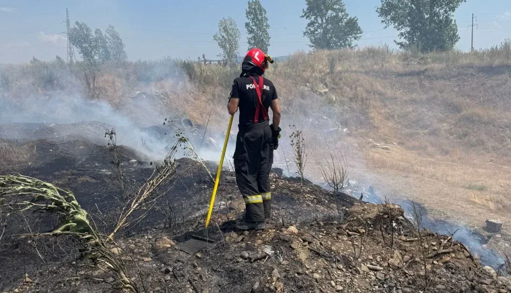 incendiu vegetatie 1