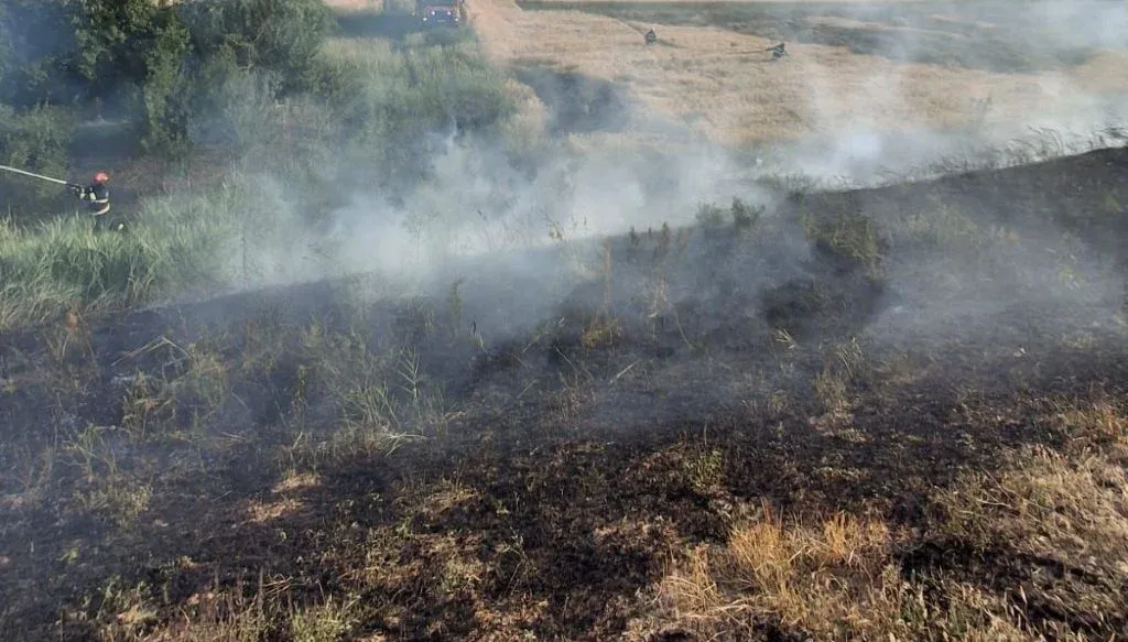 incendiu vegetatie