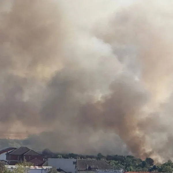 incendiu marului 1