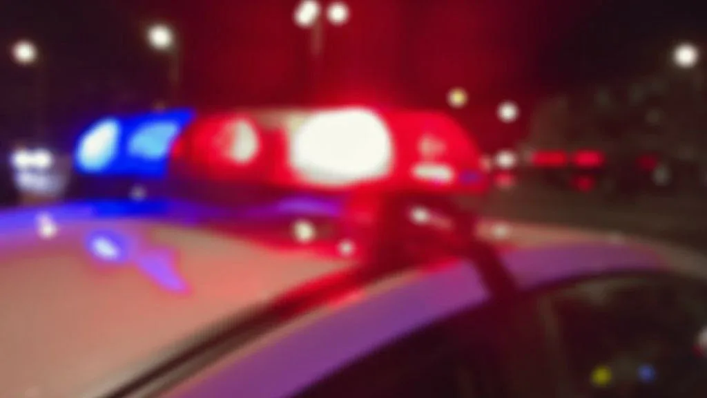 politie noaptea