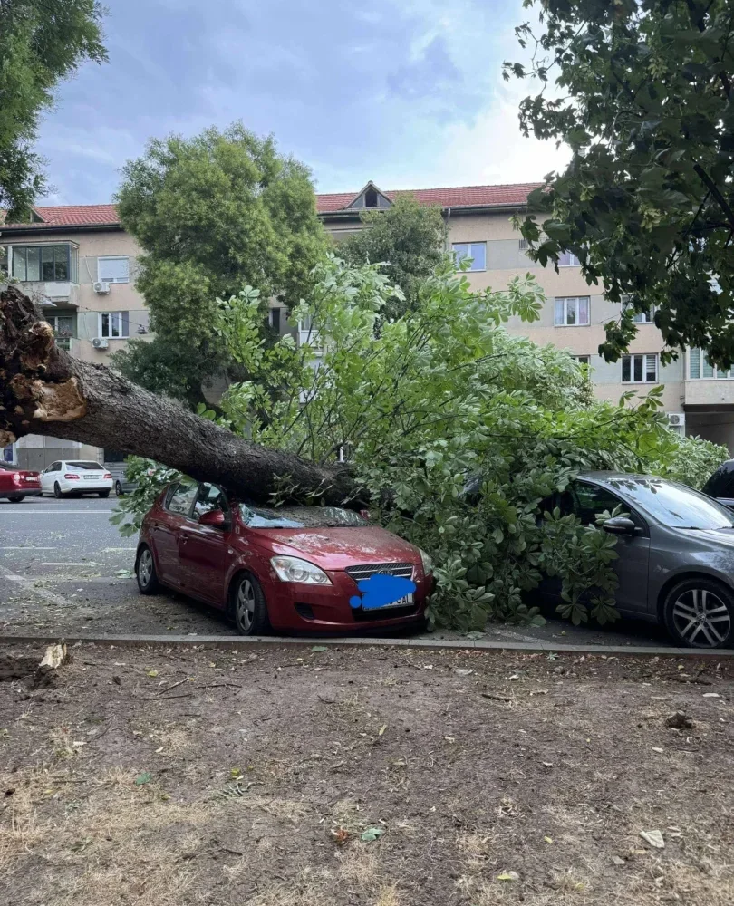 efectele furtunii de luni seara
