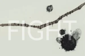 expoziția „fight” de remus rotaru