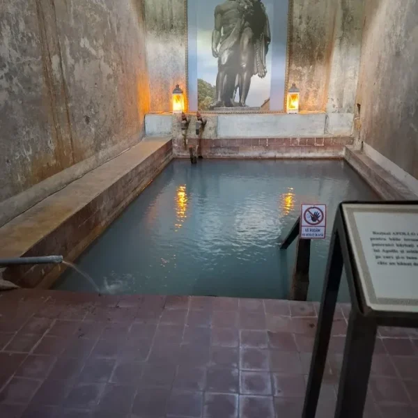 Scurt sejur la băile herculane sau despre un alt aspect al paradoxului român 18 herculane11