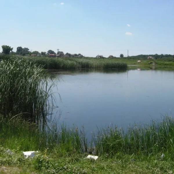 Zona mărului „revitalizată” | un alt proiect prin care s-au sifonat milioane și s-a construit nimic 2 homoc1