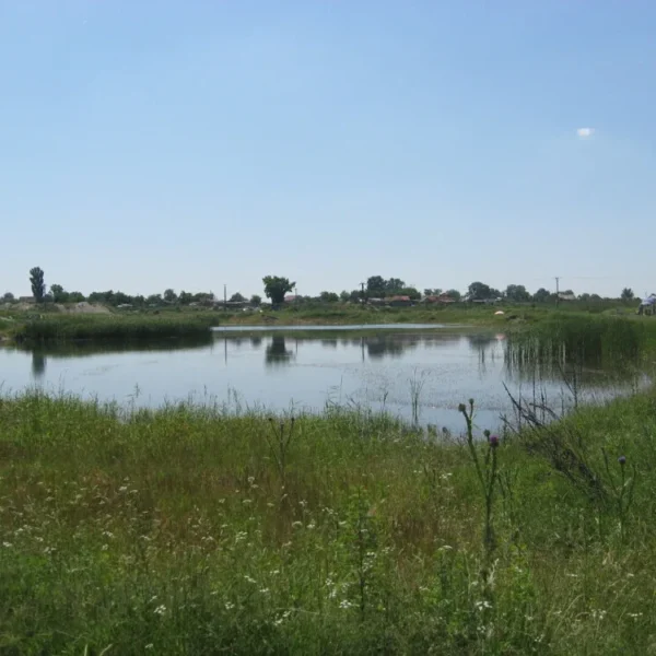 Zona mărului „revitalizată” | un alt proiect prin care s-au sifonat milioane și s-a construit nimic 3 homoc2